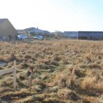 Kig mod naboen Kig mod naboen