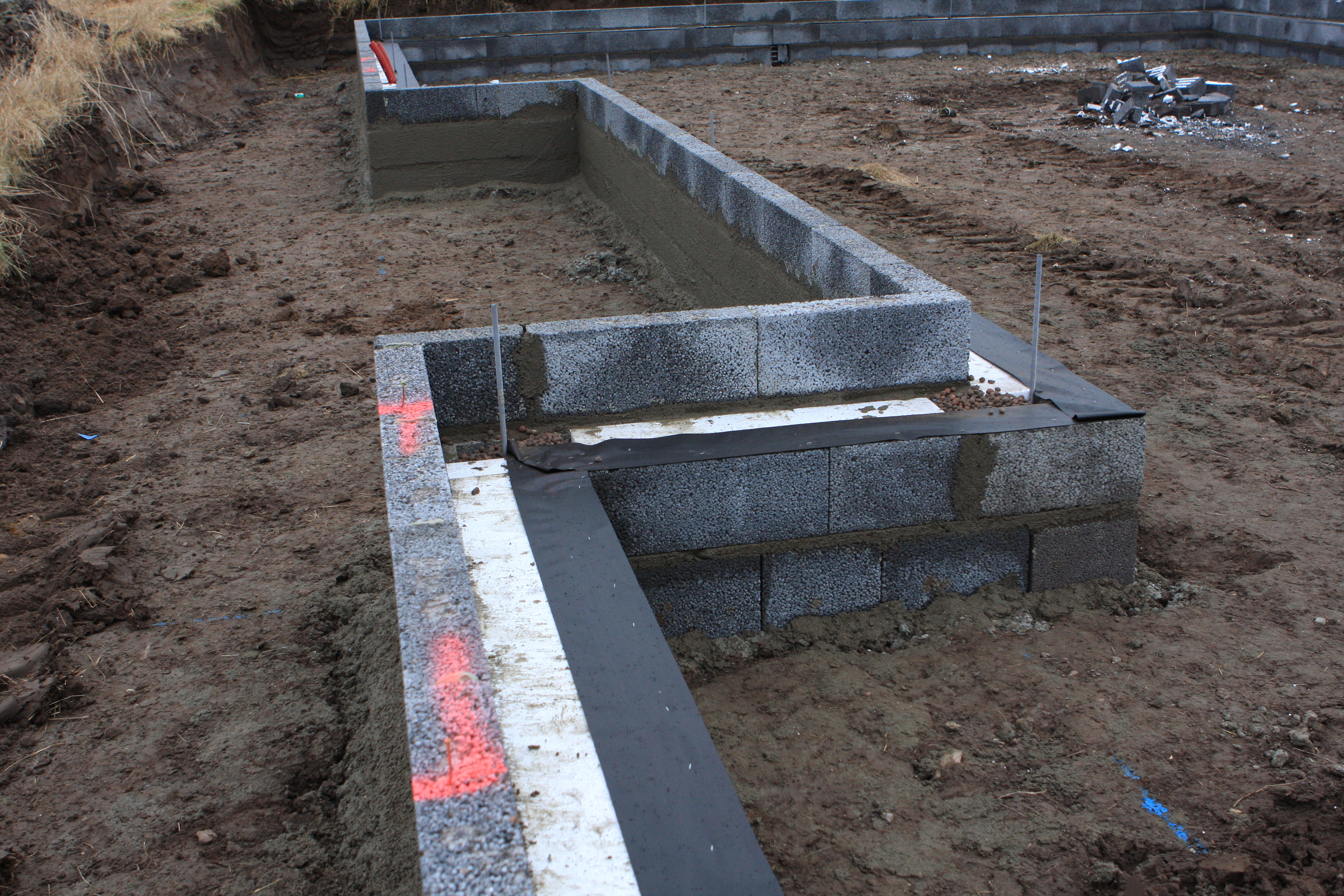 20170206-IMG_0231 20170206-IMG_0231