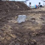 20170206-IMG_0239 20170206-IMG_0239