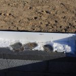 20170211-IMG_0249 20170211-IMG_0249