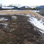 20170211-IMG_0262 20170211-IMG_0262