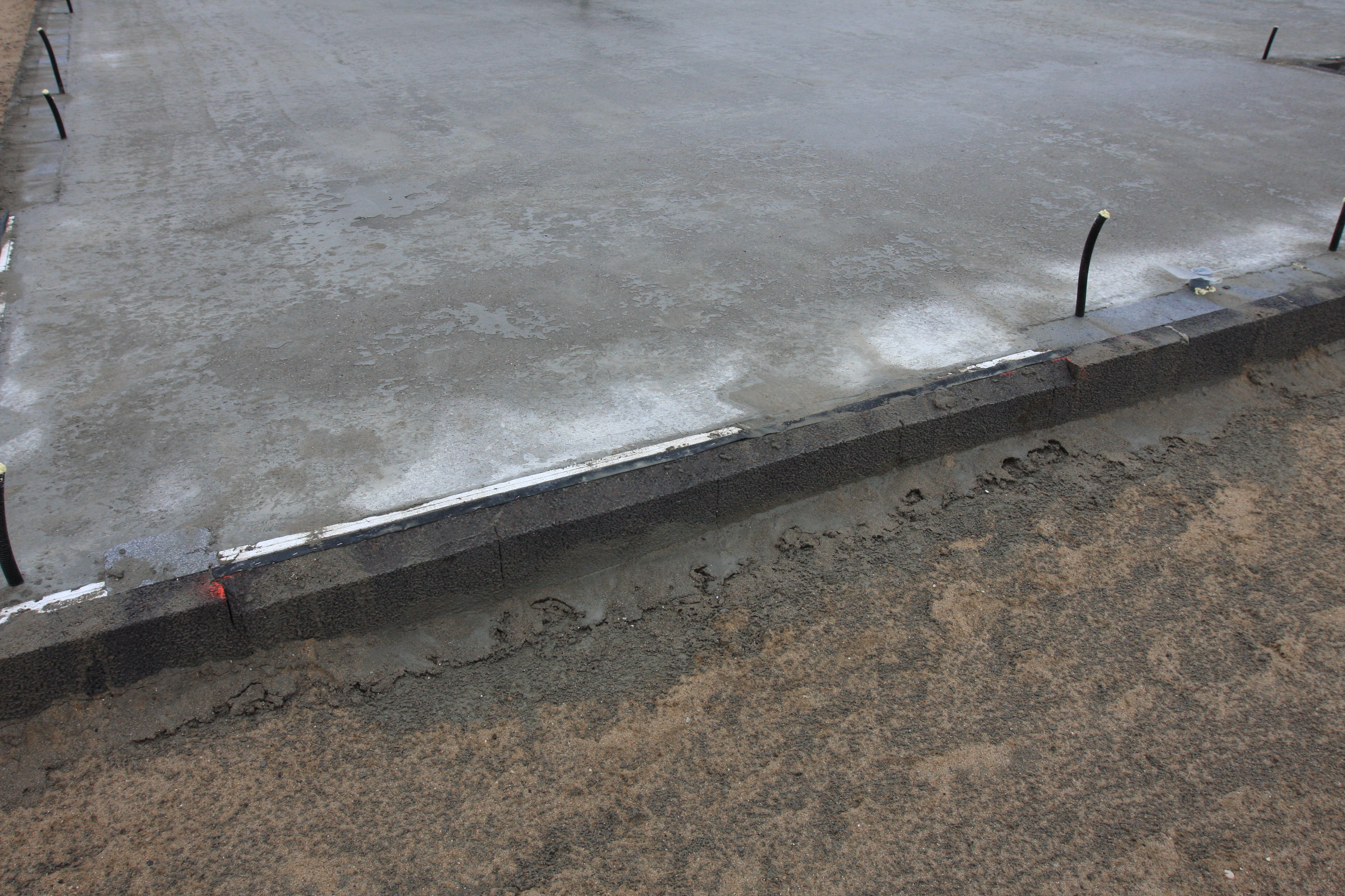 20170226-IMG_0331 20170226-IMG_0331