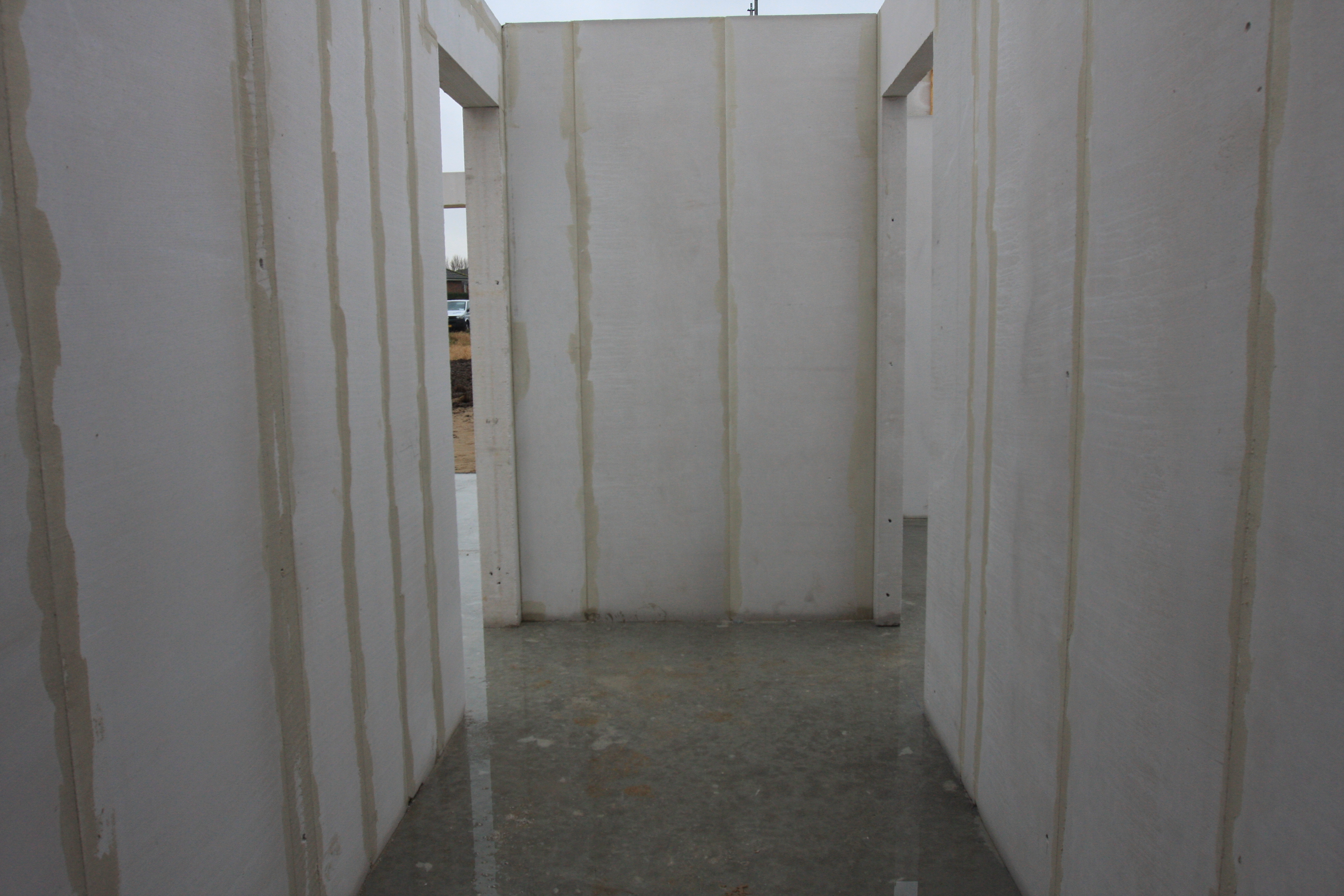 20170305-IMG_0343 20170305-IMG_0343