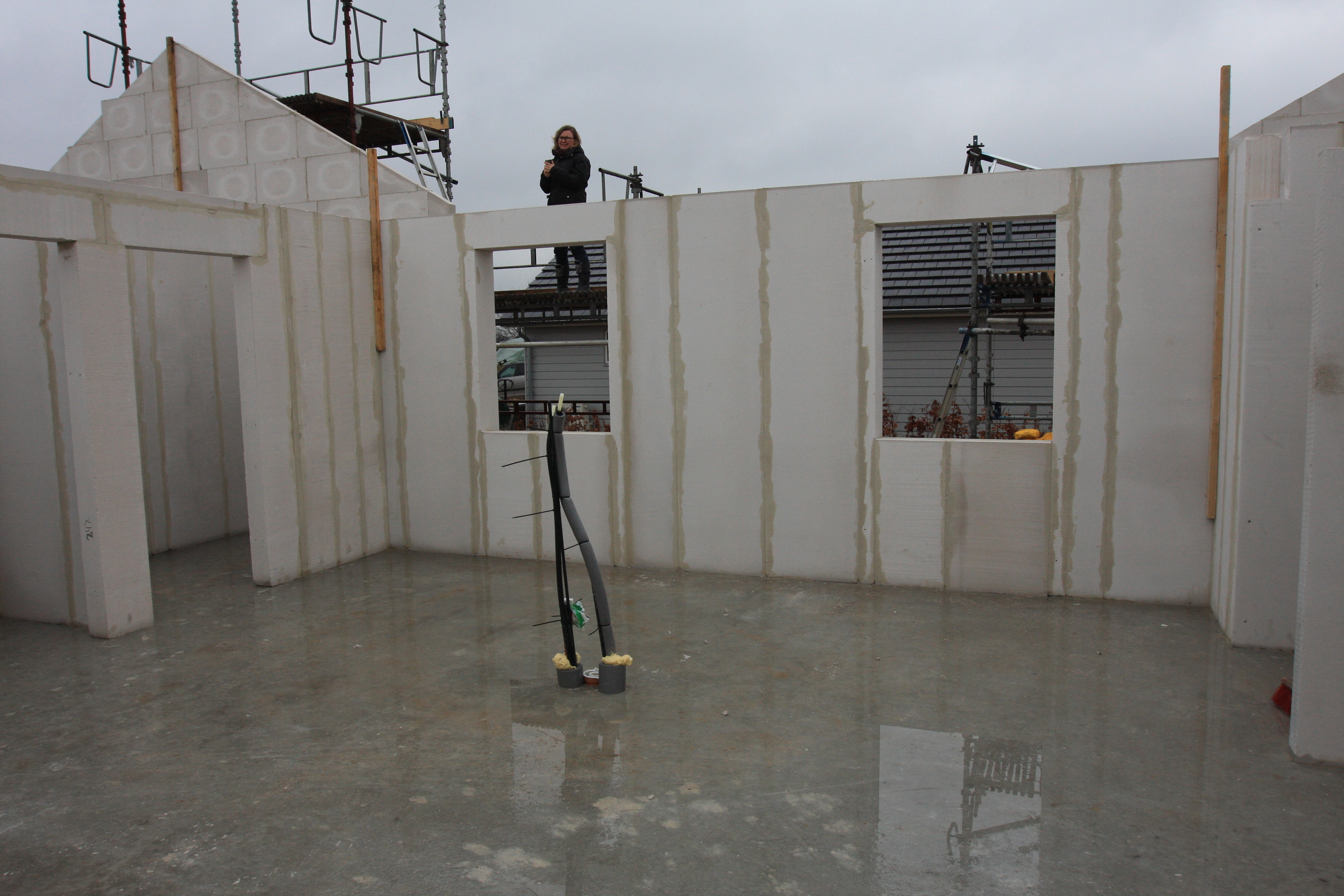 20170305-IMG_0349 20170305-IMG_0349