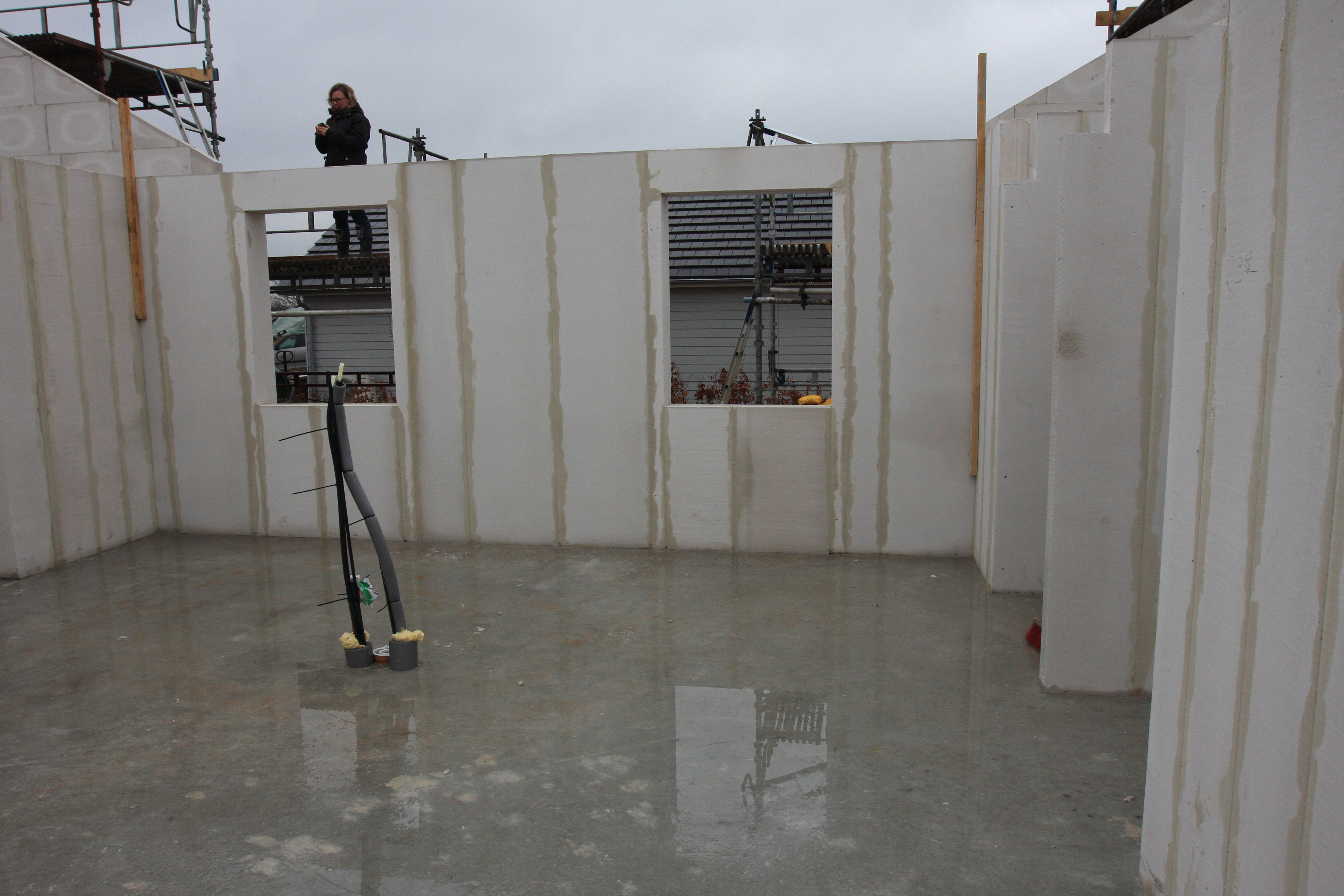 20170305-IMG_0350 20170305-IMG_0350