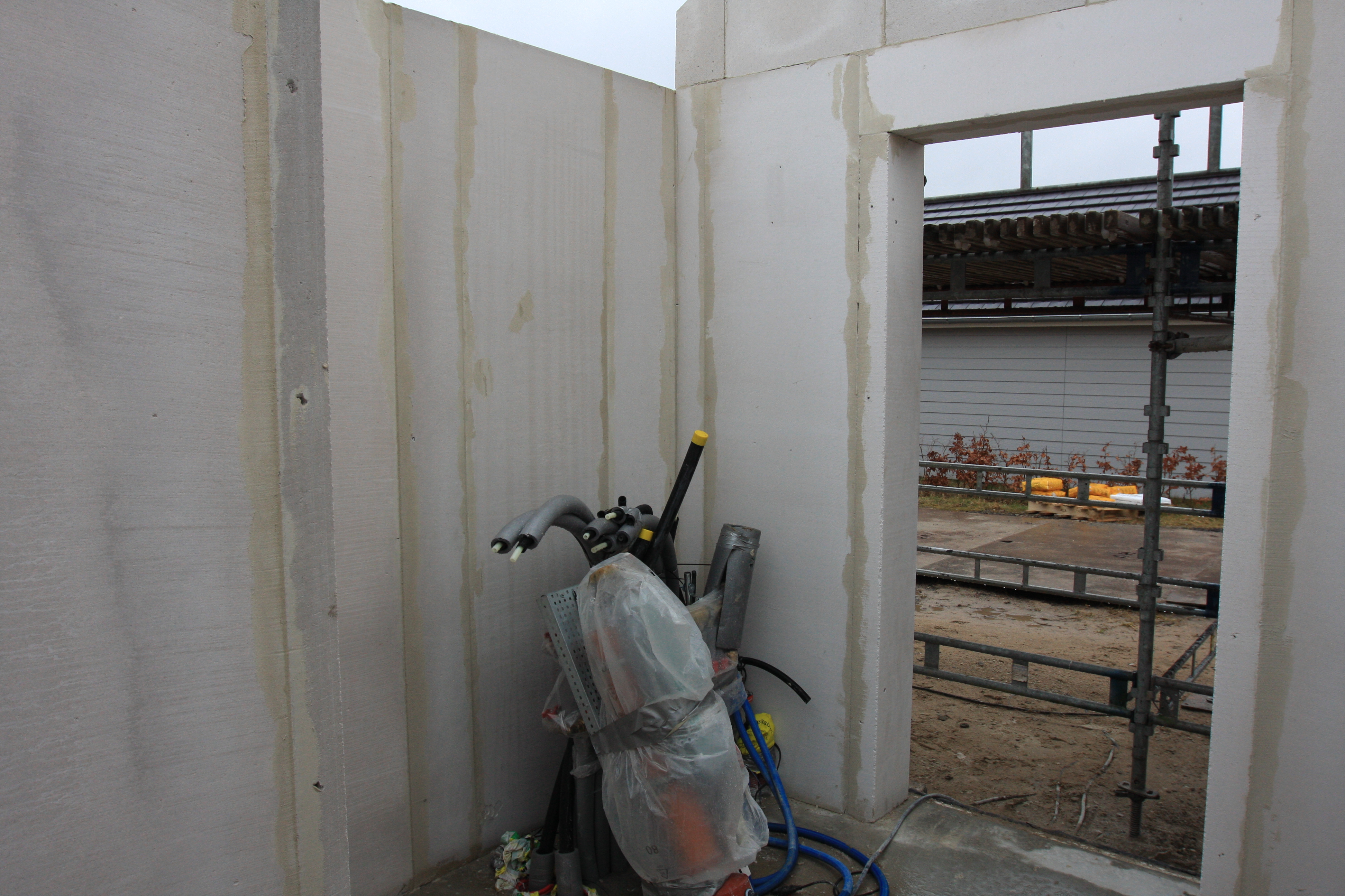 20170305-IMG_0354 20170305-IMG_0354