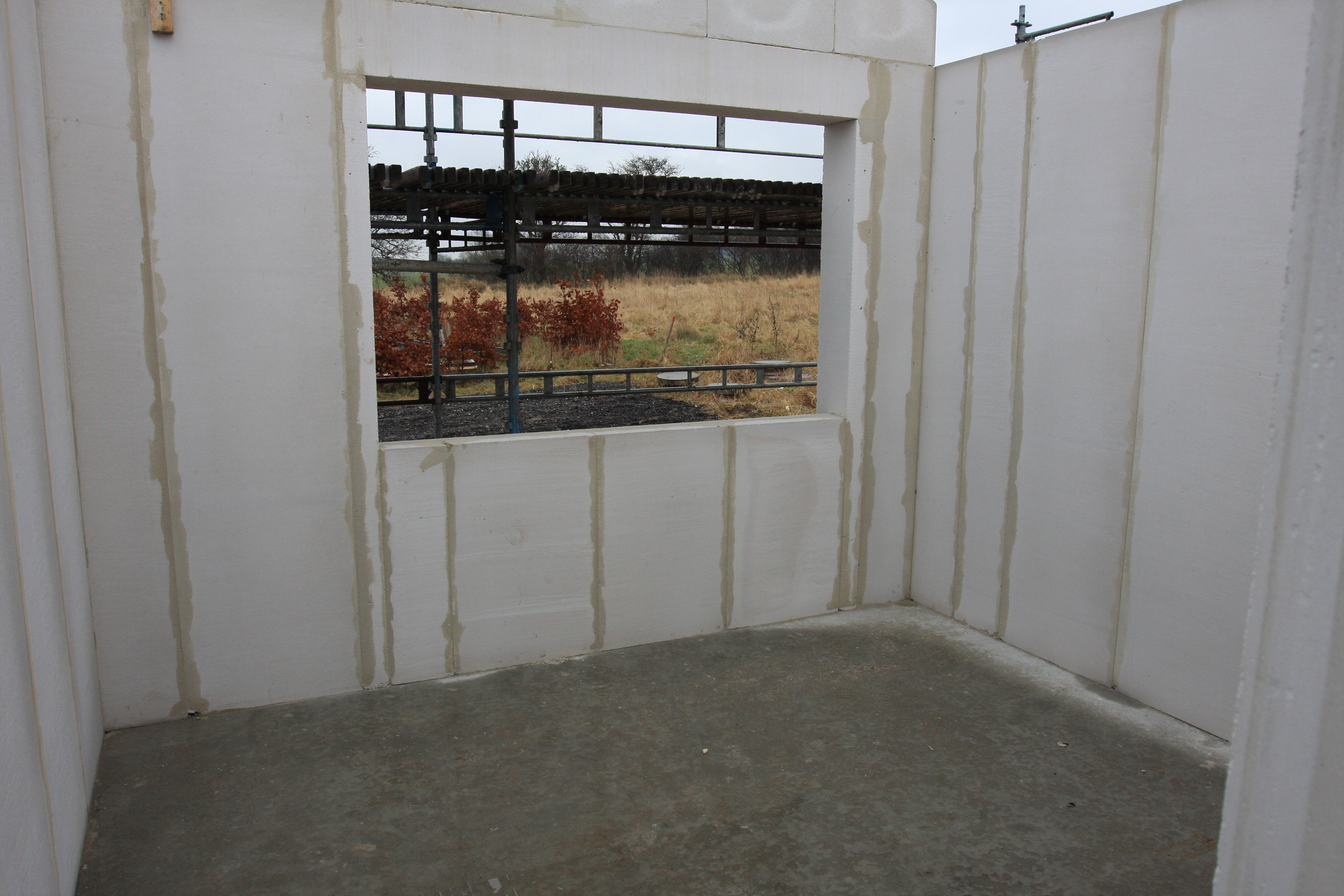 20170305-IMG_0361 20170305-IMG_0361