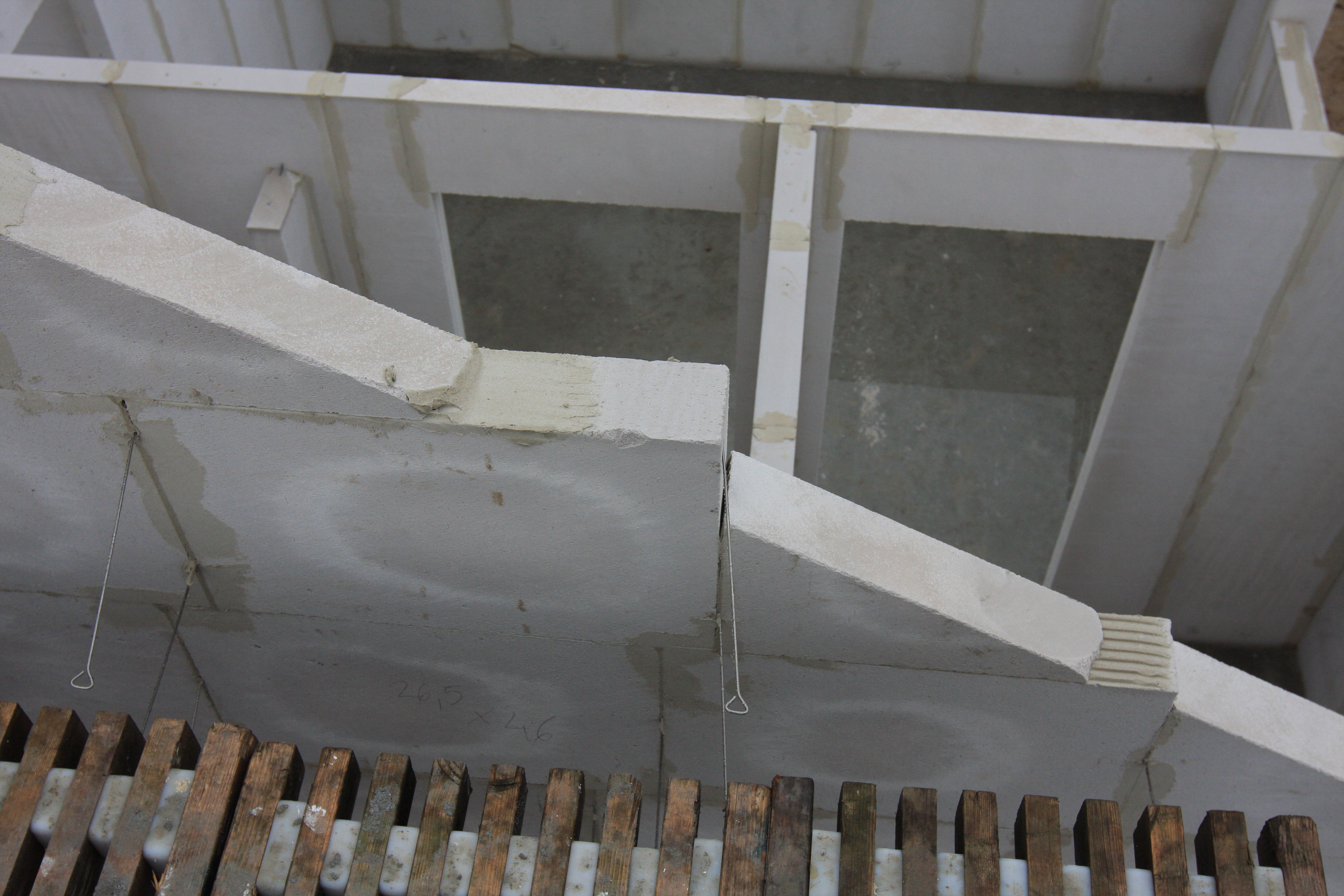 20170305-IMG_0366 20170305-IMG_0366